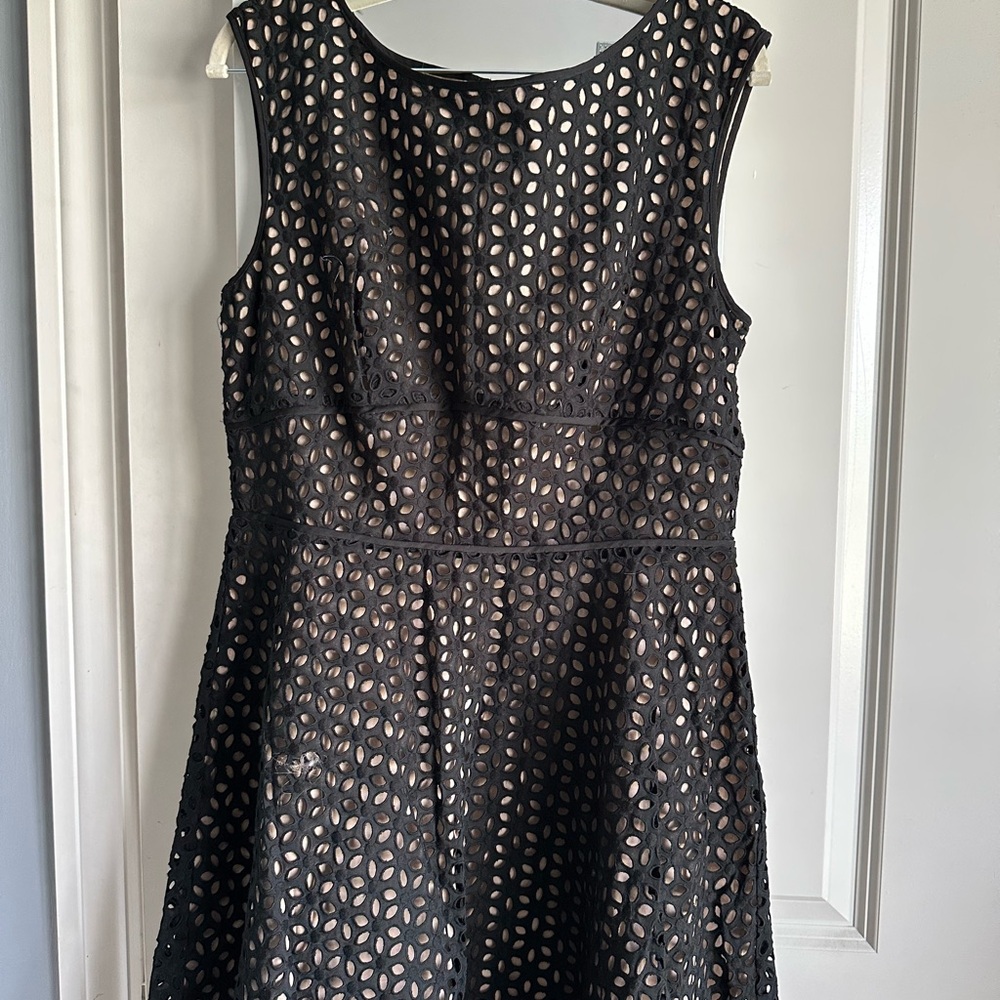 LOFT Black and Cream Dress